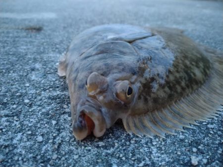 終了間際の奇跡